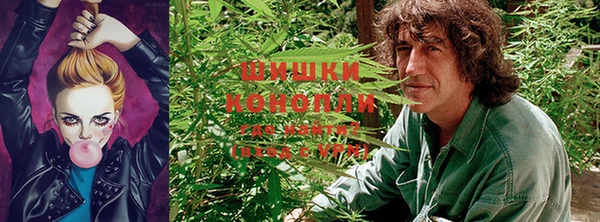 mdpv Баксан