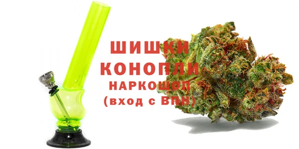сатива Балахна