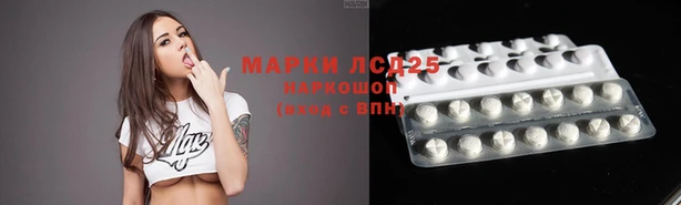 сатива Аркадак