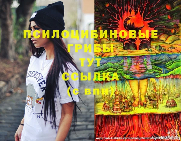 сатива Аркадак
