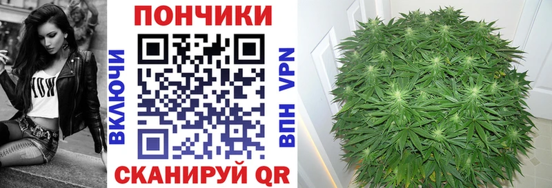 дарк нет состав  Белинский  Шишки марихуана AK-47  ОМГ ОМГ ТОР 